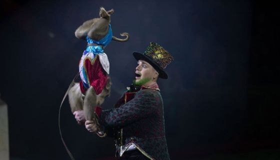 Цирк «Жар-птица»