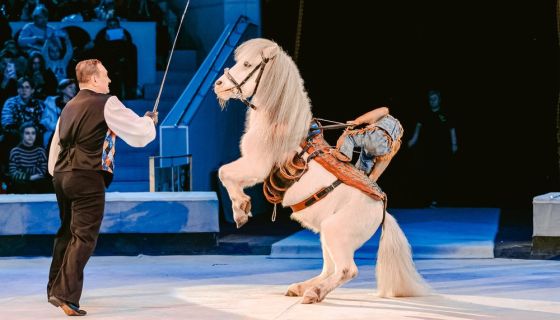 Цирковое шоу «Морозко»