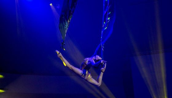 Цирковое шоу «Морозко»