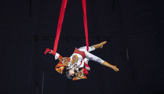 Цирк «Жираф шоу»