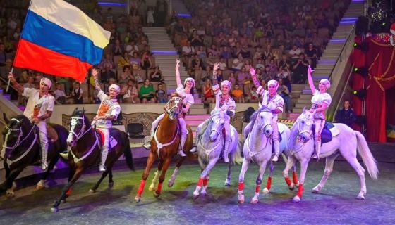 Цирк «Жираф шоу»